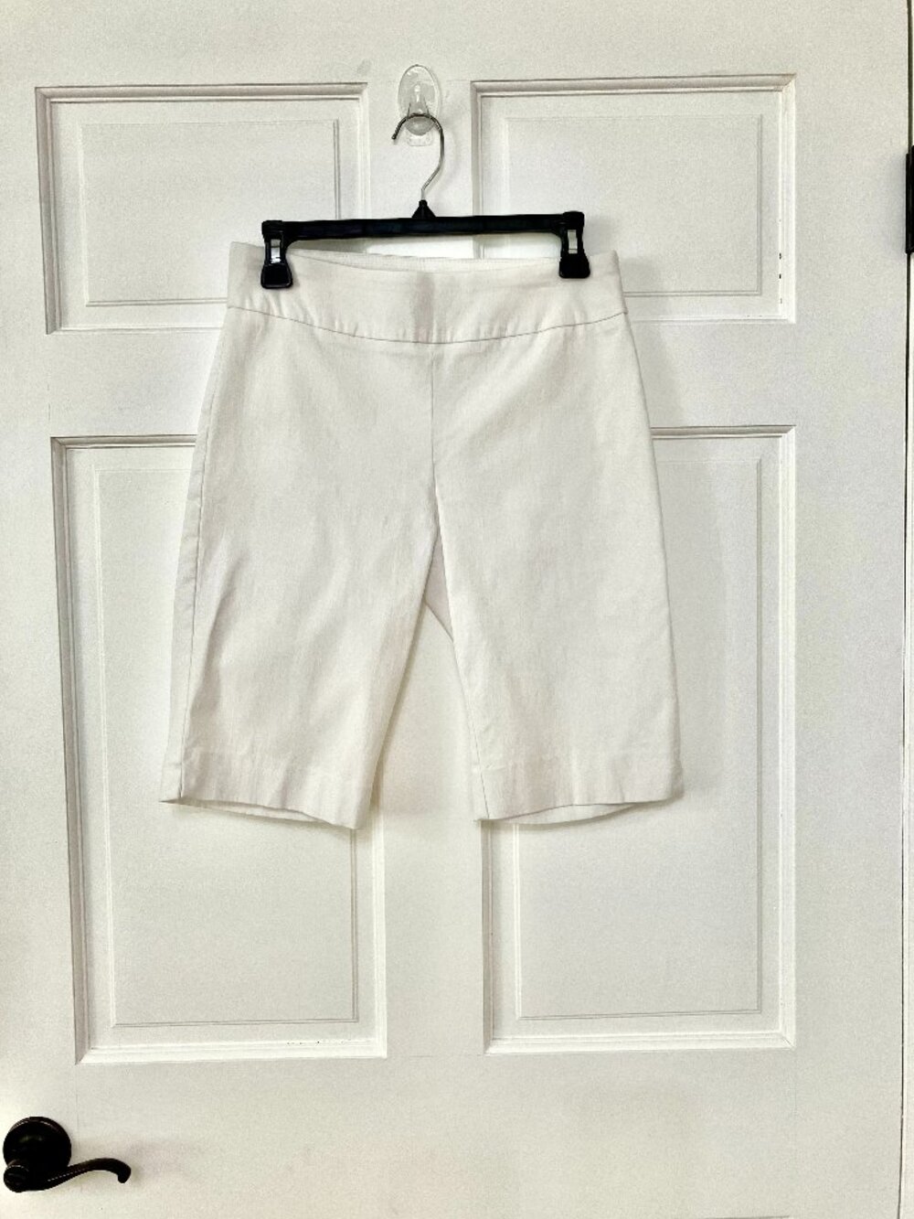 Zac & Rachel Shorts Size 8
